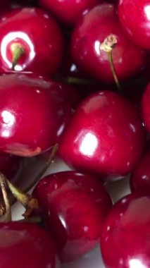 Yakın plan olgun kahve kirazları canlı, mavi bir tepside, işlenmeye hazır. Yüksek kalite 4k görüntü