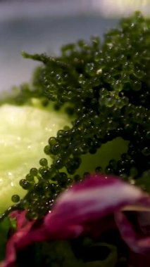 Taze karışık salata tarlası yeşillikleri üst üste yığılmış. Yüksek kalite fotoğraf