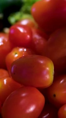 Bir domates grubunun animasyonu. Birçok domates uzayda arka planda yavaşça döner. Yatay bileşim. Defoktus. Yakın plan. Yüksek kalite 4k görüntü