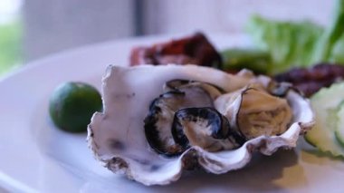 Buz küpleri, marul yaprakları ve limon dilimleriyle gümüş tepside servis edilen taze istiridyeler. Lüks Akdeniz restoranlarında istiridye şarküterisi, pahalı deniz ürünleri lezzeti. Yüksek kalite 4k görüntü