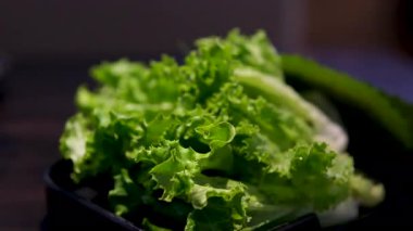 Su Damlacıklarıyla Taze Yeşil Marul Yaprakları. Yüksek kalite 4k görüntü