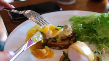 Kahvaltıda haşlanmış yumurta, avokado ve taze salata. Yüksek kalite 4k görüntü