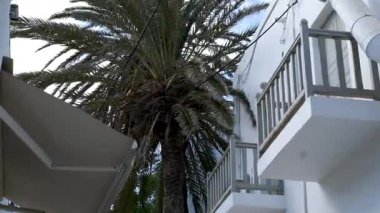 Mikonos Yunanistan 'ı, güzel Ege Denizi' ne karşı ikonik beyaz binalar ve kubbelerle baş döndürücü bir deneyim yaşayarak, manzaralı güzellik ve keşif aşıkları için mükemmel bir yer haline getirdi..