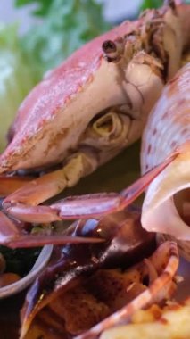 Buzlu deniz ürünleri tabağı. Çiçek garnitürlü buzlu somon balığı tabağı. Yüksek kalite 4k görüntü