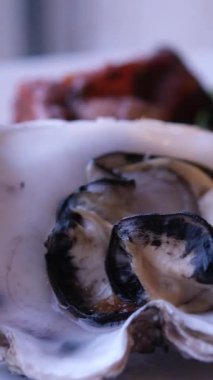 Buz küpleri, marul yaprakları ve limon dilimleriyle gümüş tepside servis edilen taze istiridyeler. Lüks Akdeniz restoranlarında istiridye şarküterisi, pahalı deniz ürünleri lezzeti. Yüksek kalite 4k görüntü