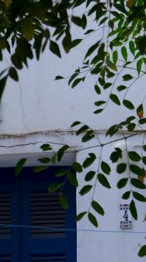 Mikonos Yunanistan 'ı, güzel Ege Denizi' ne karşı ikonik beyaz binalar ve kubbelerle baş döndürücü bir deneyim yaşayarak, manzaralı güzellik ve keşif aşıkları için mükemmel bir yer haline getirdi..