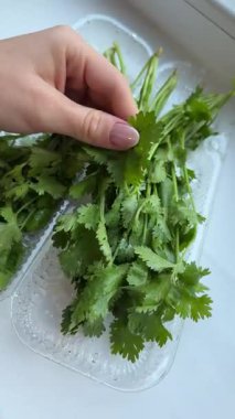 Tahta bir kesme tahtasındaki taze organik bitkilerle el ele tutuşup onları inceliyoruz. Yüksek kalite 4k görüntü