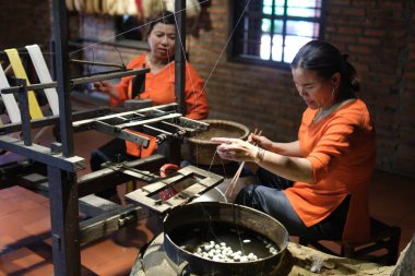 Vietnam 'daki Hoi An İpek Köyü, Ao Dai kostümleri ve Vietnam kültür mirasının yer aldığı, dut ekiminden dokumaya geleneksel ipek üretimini sergiliyor. Vietnam Hoi 10.02.2025
