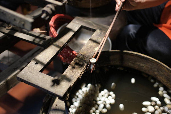 Cinematic video of silkworms hatching, feeding on mulberry leaves, spinning cocoons, and silk threads being reeled and woven into traditional Vietnamese textiles.