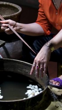 İpek böceği koza taşıyıcısı ipek fabrikasında. Yüksek kaliteli FullHD görüntüler