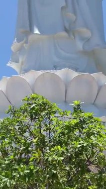 Da Nang 'daki yemyeşil yemyeşil alanın ortasındaki Buda Heykeli' nin çarpıcı hava manzarası, sakin bir ifade ve muhteşem bir çevre sergiliyor. Bayan Buddha Da Nang.