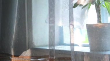 Hafif bir esinti açık kırsal pencereden içeri akar, pencere kenarındaki yeşil saksı bitkisinin etrafında beyaz perdeler hareket eder, odayı sakin yaz atmosferiyle doldurur..