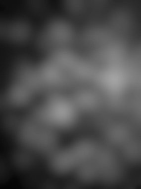 Beyaz arkaplan, soyut siyah arkaplan. Siyah arkaplan illüstrasyon dokusu ve koyu gri kömür boyası, koyu ve gri soyut duvar kağıdı..