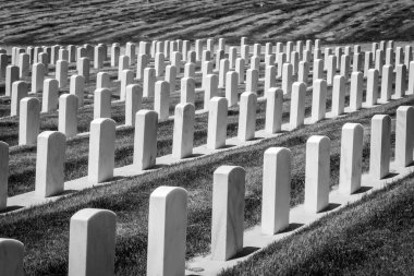 Amerikan ordusunun askerleri ve kadınları için askeri mezarlık taşları