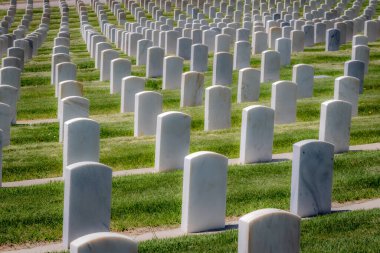 Amerikan ordusunun askerleri ve kadınları için askeri mezarlık taşları
