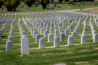Amerikan ordusunun askerleri ve kadınları için askeri mezarlık taşları