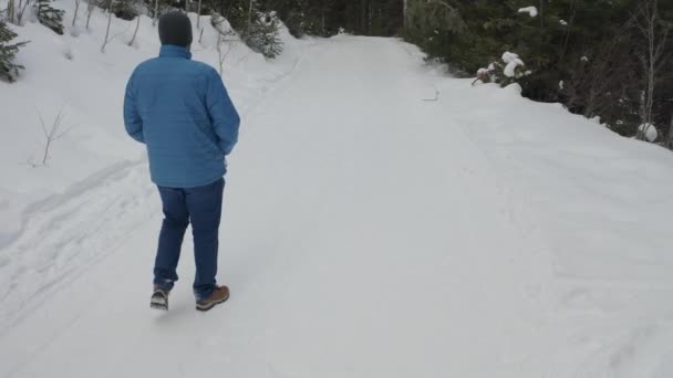 Mavi Paltolu Bir Adam Kışın Karlı Dağ Yolunda Kameradan Uzaklaşıyor — Stok video