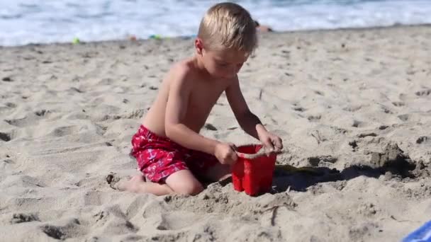 Ein Junge Spielt Sand Strand — Stockvideo