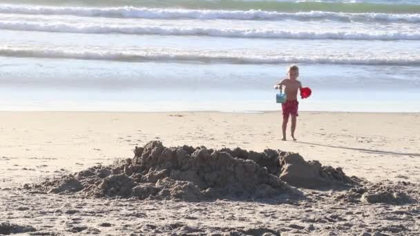 Мальчик Играет Песке Пляже — стоковое видео