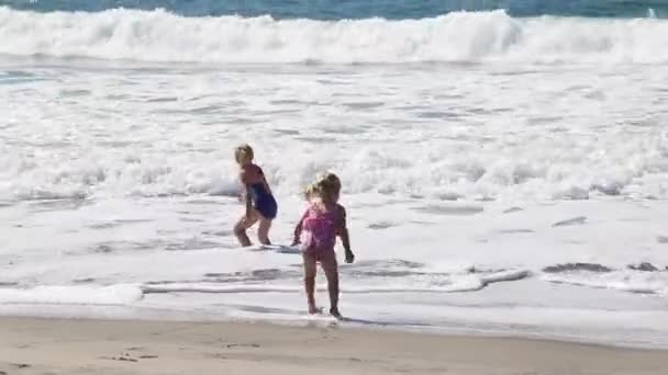 Дві Дівчини Грають Хвилях — стокове відео