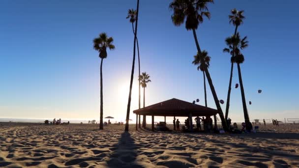 Sahilde Palmiye Ağaçlarıyla Çevrili Bir Köşk — Stok video
