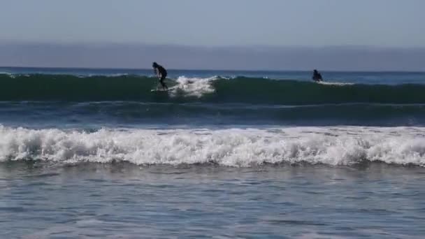Surfer Riding Waves — Stock Video