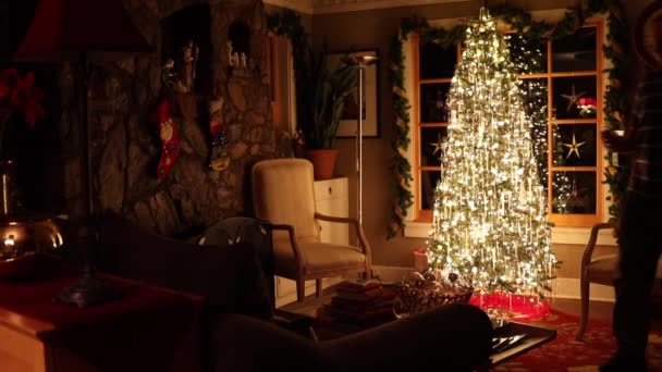 男人坐下来喝酒 享受圣诞树的乐趣 — 图库视频影像