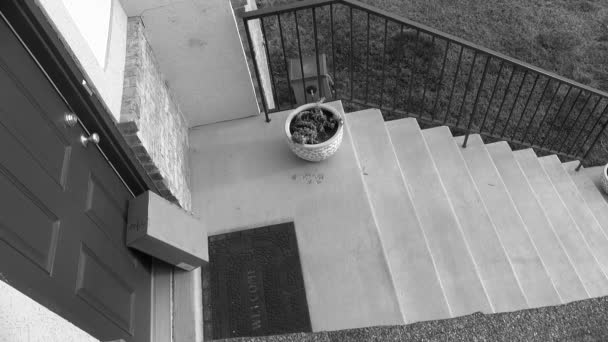 Ein Paket Vor Der Haustür Wird Von Einem Dieb Gestohlen — Stockvideo