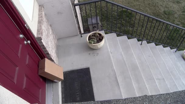 门阶上的包裹被贼偷了 — 图库视频影像