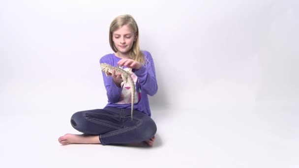 Sevimli Kız Sakallı Ejderha Kertenkelesi — Stok video