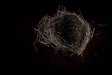 Çubuklardan yapılmış bir kuş yuvasına bakıyorum. Karanlık bir yüzeyde, yan ışıklandırması olan bir dal parçası.