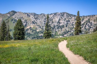 Dirt hiking trail leading through the mountains in the summer on a sunny day