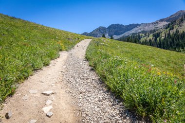 Dirt hiking trail leading through the mountains in the summer on a sunny day