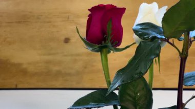 Gül kırmızısı, beyaz, pembe ahşap. Su, hafif rüzgâr, 4k.