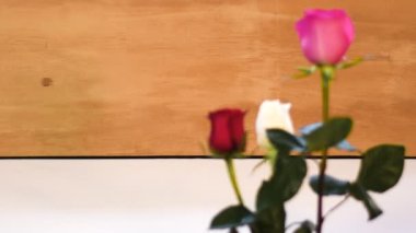 Bulanık gül kırmızı pembe bokeh odak tahta arkaplan su hafif rüzgar 4k