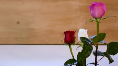 Gül kırmızısı, beyaz, bokeh ahşap. Su hafif esinti rüzgarı. 4k.