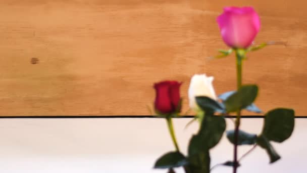 Verschwommen Rose Rot Weiß Rosa Bokeh Fokus Holz Hintergrund Tropfen — Stockvideo