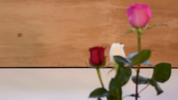 Розмита Троянда Червоно Рожевий Боке Фокус Дерев Яний Фон Краплі — стокове відео