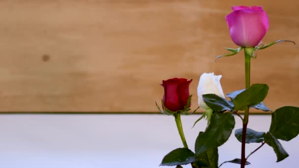 Rose Rot Weiß Rosa Bokeh Holz Hintergrund Tropfen Wasser Licht — Stockvideo