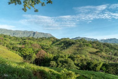 Tamesis 'teki panoramik manzara. Mavi gökyüzü ve ufukta dağ var. Kolombiya. 