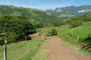 Güzel bir yol manzarası, mavi gökyüzü ve dağlar. Tamesis, Antioquia, Kolombiya. 