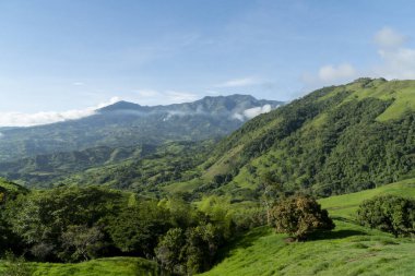 Yaz öğleden sonraları doğal manzara. Tamesis, Antioquia, Kolombiya.