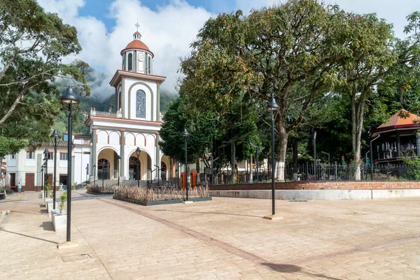 Tamesis Antioquia Colombia June 2020 San Antonio Tamesis Parish Trees — Stock Photo, Image