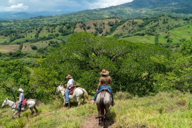 Tamesis, Antioquia, Kolombiya. 29 Haziran 2020: Güzel mavi gökyüzü ile tarlada at sürmek.