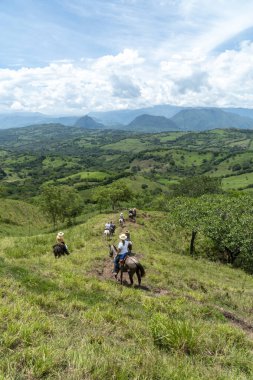 Tamesis, Antioquia, Kolombiya. 29 Haziran 2020: Güzel mavi gökyüzü ile tarlada at sürmek.