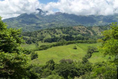Tamesis 'teki panoramik manzara. Mavi gökyüzü ve ufukta dağ var. Kolombiya. 