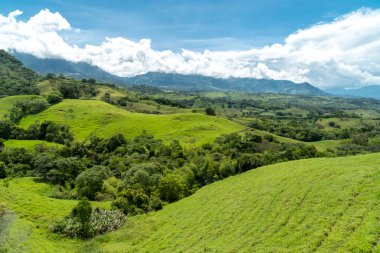 Tamesis 'teki panoramik manzara. Mavi gökyüzü ve ufukta dağ var. Kolombiya. 