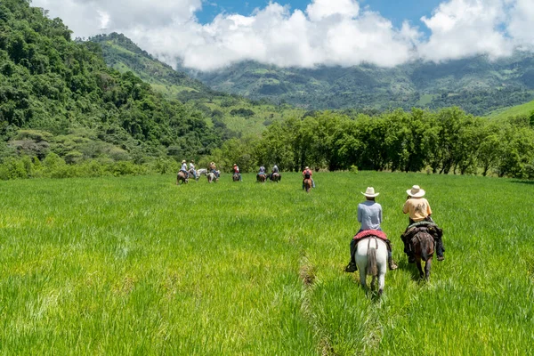 Tamesis, Antioquia, Kolombiya. 29 Haziran 2020: Güzel mavi gökyüzü ile tarlada at sürmek.