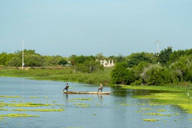 Totumo bataklığı manzaralı doğal manzara. Kolombiya.