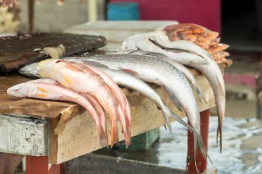 Ön planda satılık balık hazırlıyorum. Kolombiya.